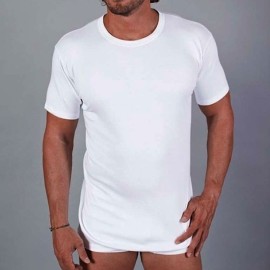 T-Shirt maglia uomo FDB manica corta a girocollo in caldo cotone interlock