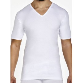 3 T-shirt uomo Pierre Cardin manica corta con scollo V in caldo cotone felpato invernale