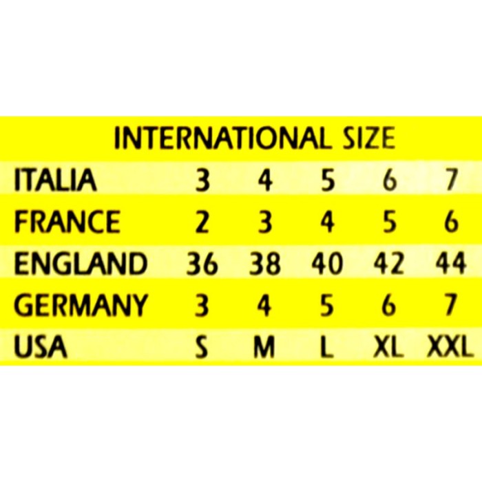 12 T-shirt uomo Trevi manica corta girocollo in caldo misto lana aderente