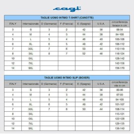 T-shirt uomo Cagi con scollo V in cotone a base colorata 2