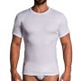 4 T-shirt uomo Oltremare girocollo in caldo cotone felpato