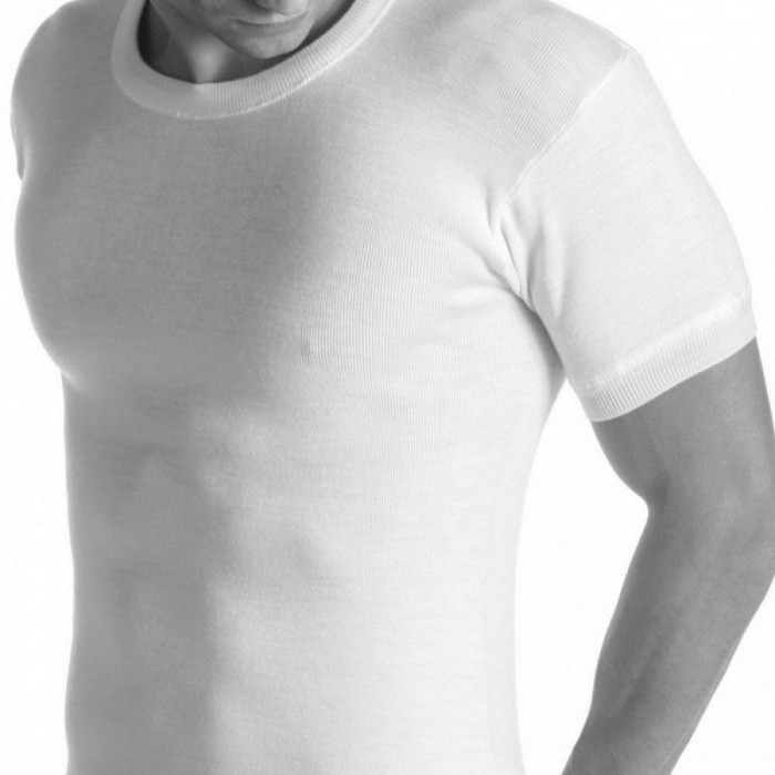 T-Shirt maglia uomo Alpina manica corta a girocollo in caldo misto lana